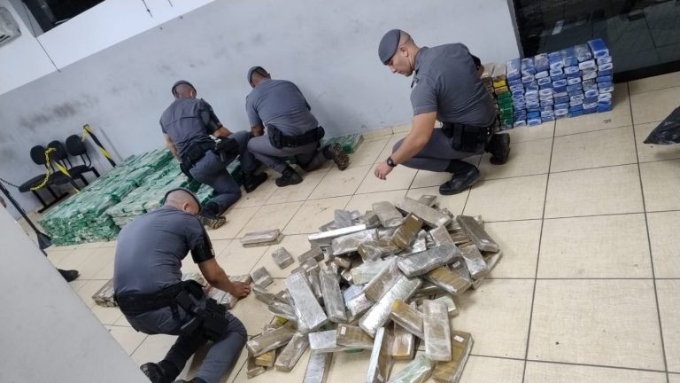 SP apreende 206 toneladas de drogas em 2025; prejuízo ao crime é de quase R$ 1 bilhão