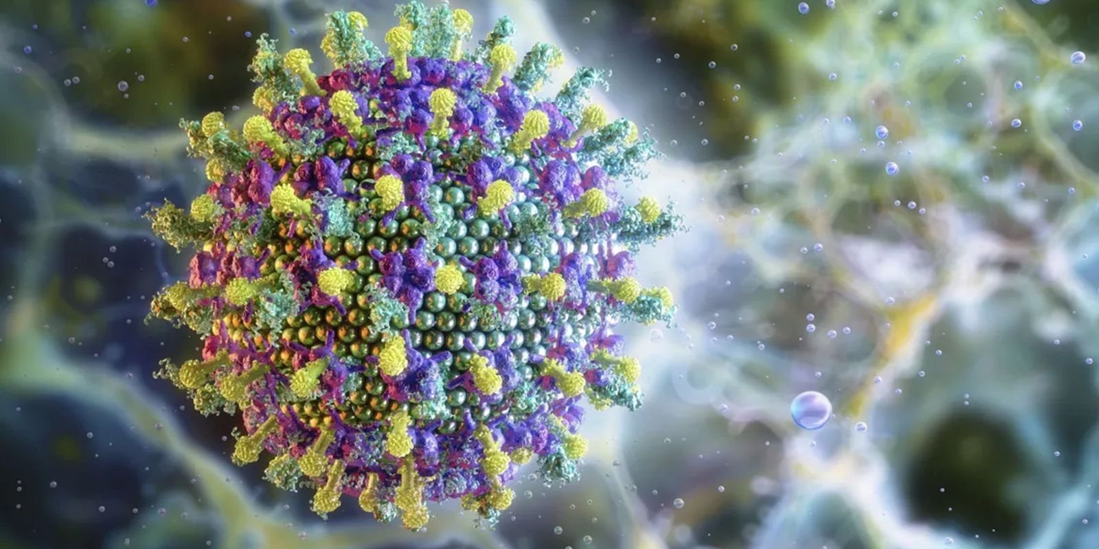 Ministério da Saúde Reafirma Baixo Risco do Vírus Nipah para o Brasil
