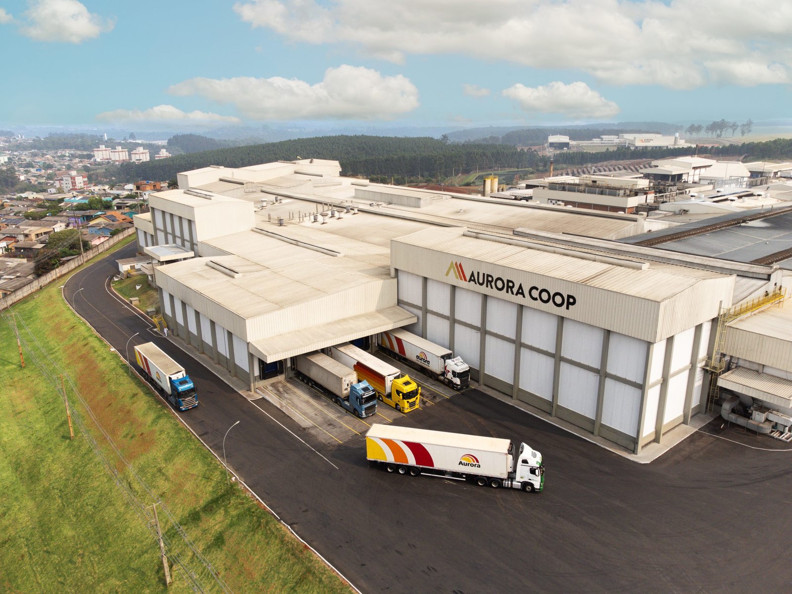 Como o cooperativismo transformou pequenos produtores em gigantes do agronegócio?