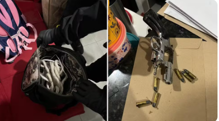 Criminosos que invadiram agência pelo teto e renderam funcionários em assalto são alvos da PF de Rio Preto