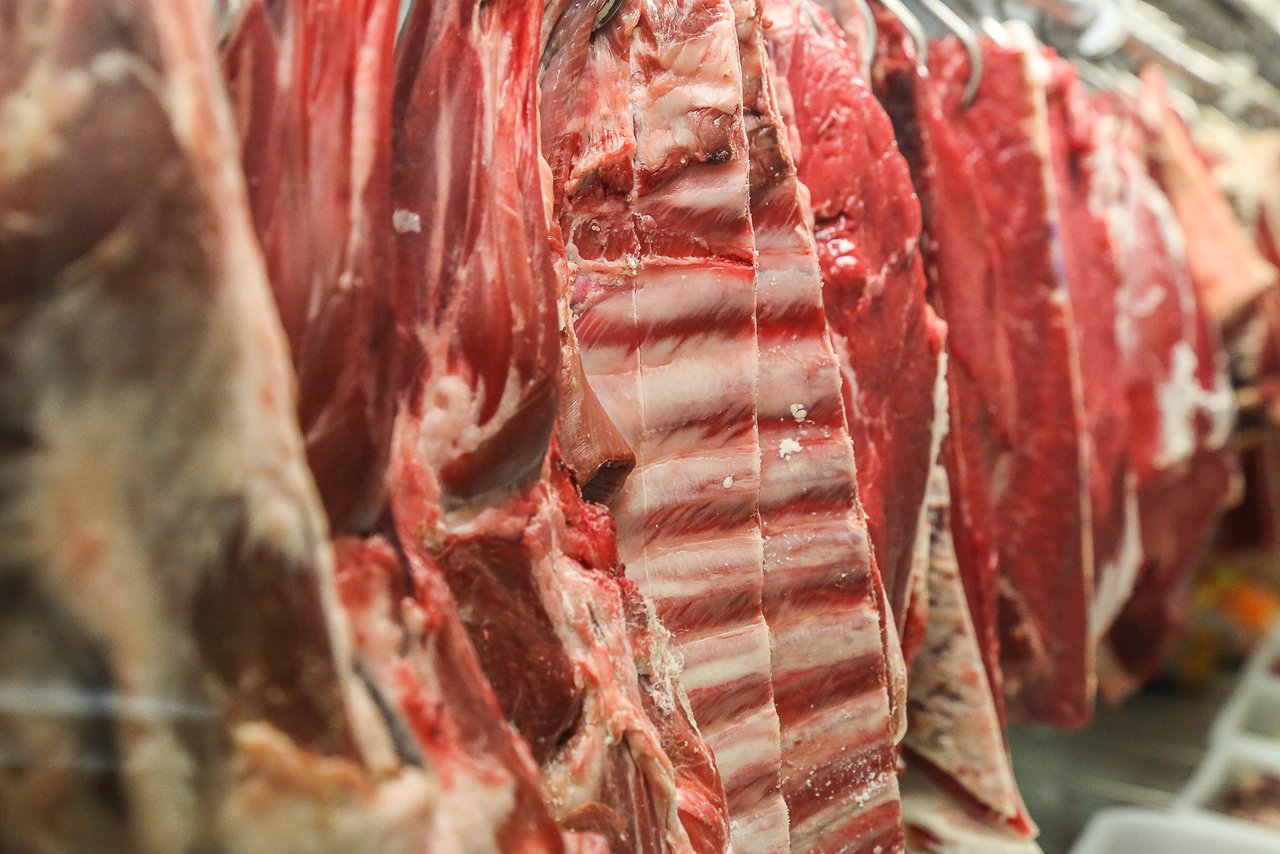 Governo brasileiro planeja controle de exportação de carne bovina à China em meio a risco de colapso no setor