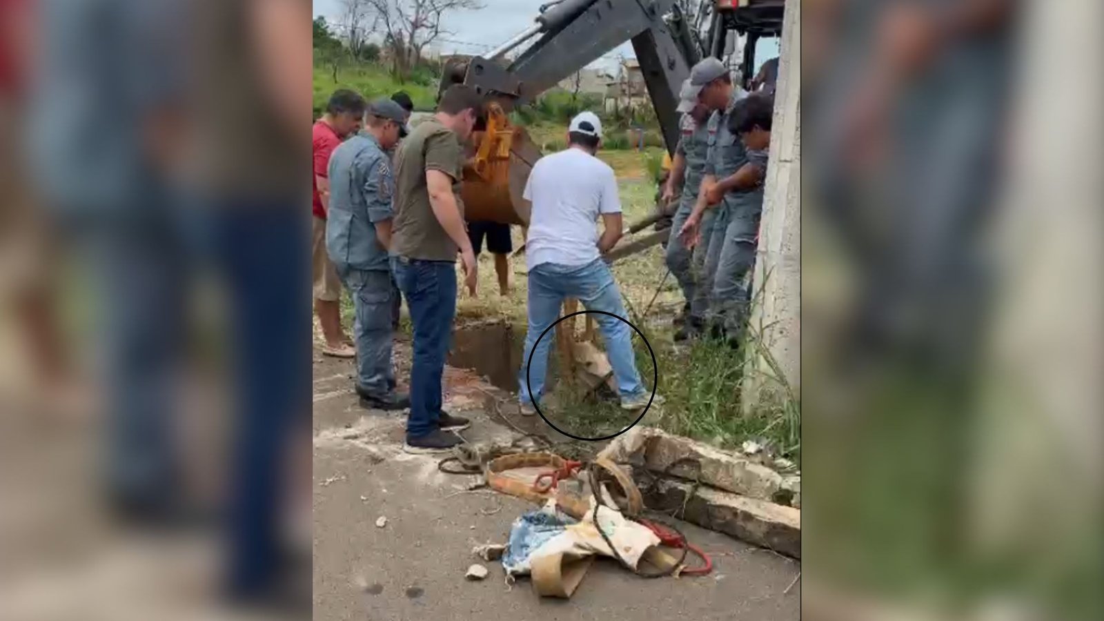 Resgate comovente: égua é salva de bueiro em Bady Bassitt e acende alerta sobre infraestrutura urbana