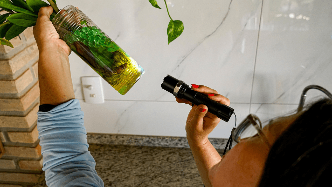 Rio Preto sem Dengue: Mutirão acontece neste sábado em cinco regiões