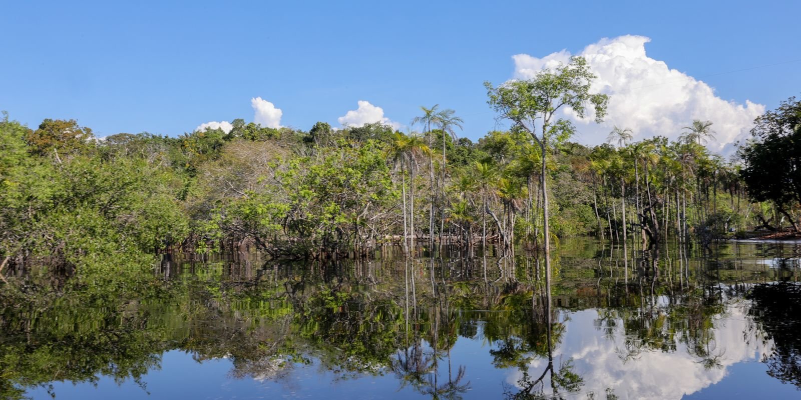 Governo Federal Mobiliza R$ 179 Bilhões Para Impulsionar Transição Ecológica Desde 2023