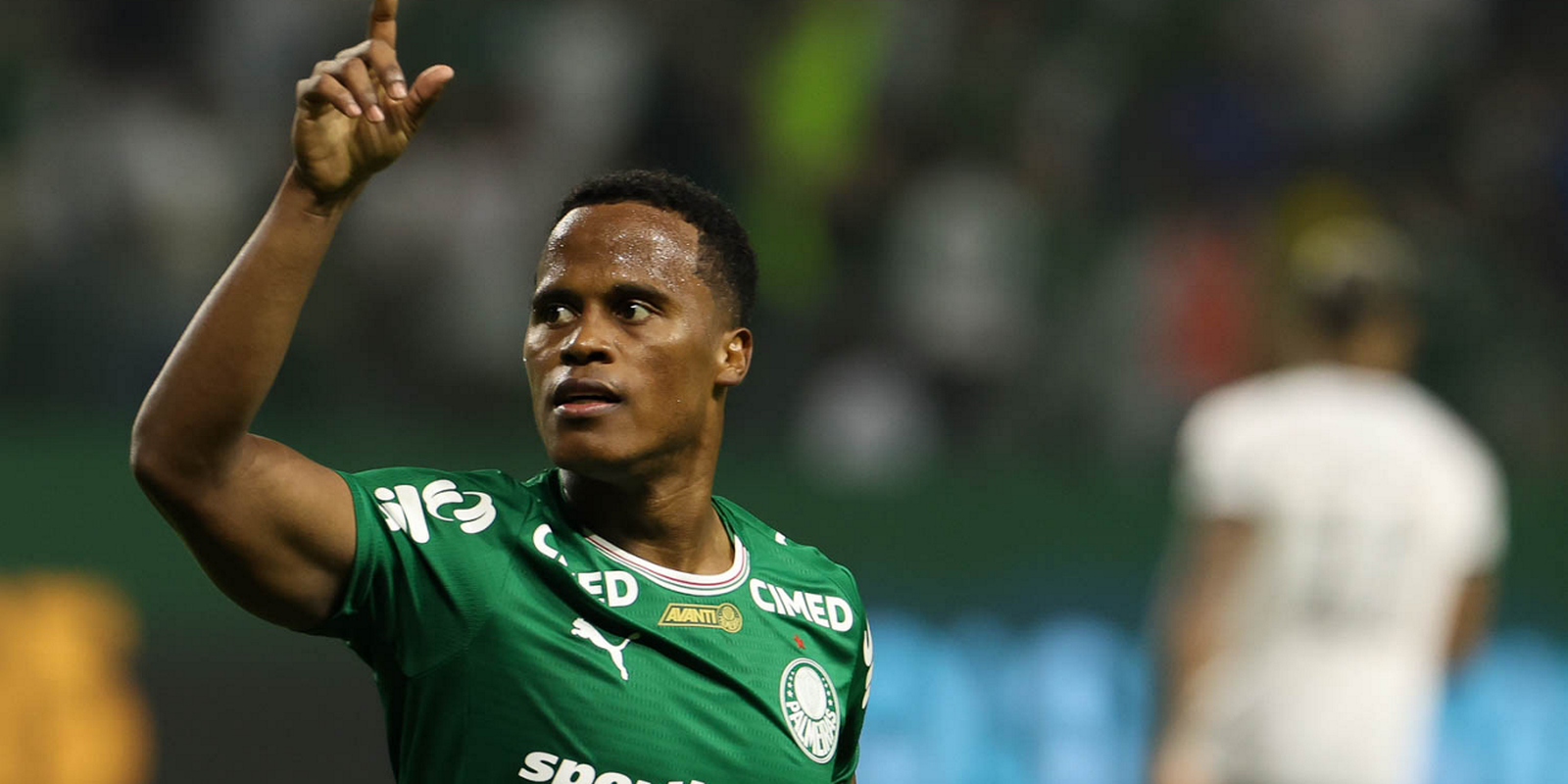 Palmeiras Vence Botafogo, Assume a Liderança e Agita o Campeonato Brasileiro