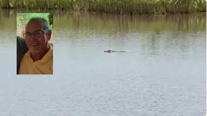 Laudo confirma ataque de jacaré como causa da morte de aposentado