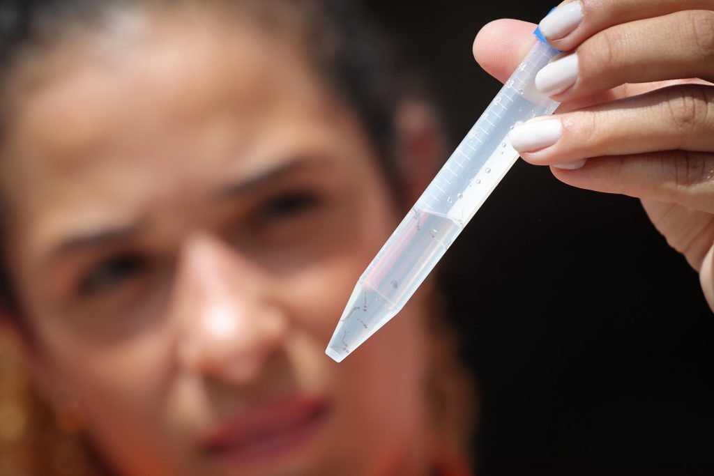 Altas temperaturas favorecem mosquito da dengue; veja como prevenir