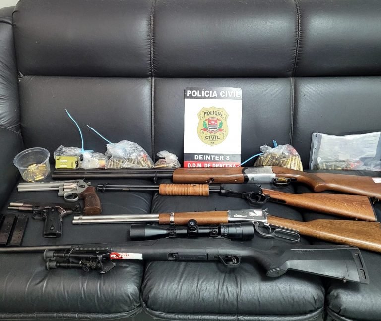 Polícia Civil apreende 6 armas em casa de investigado por violência doméstica no interior de SP