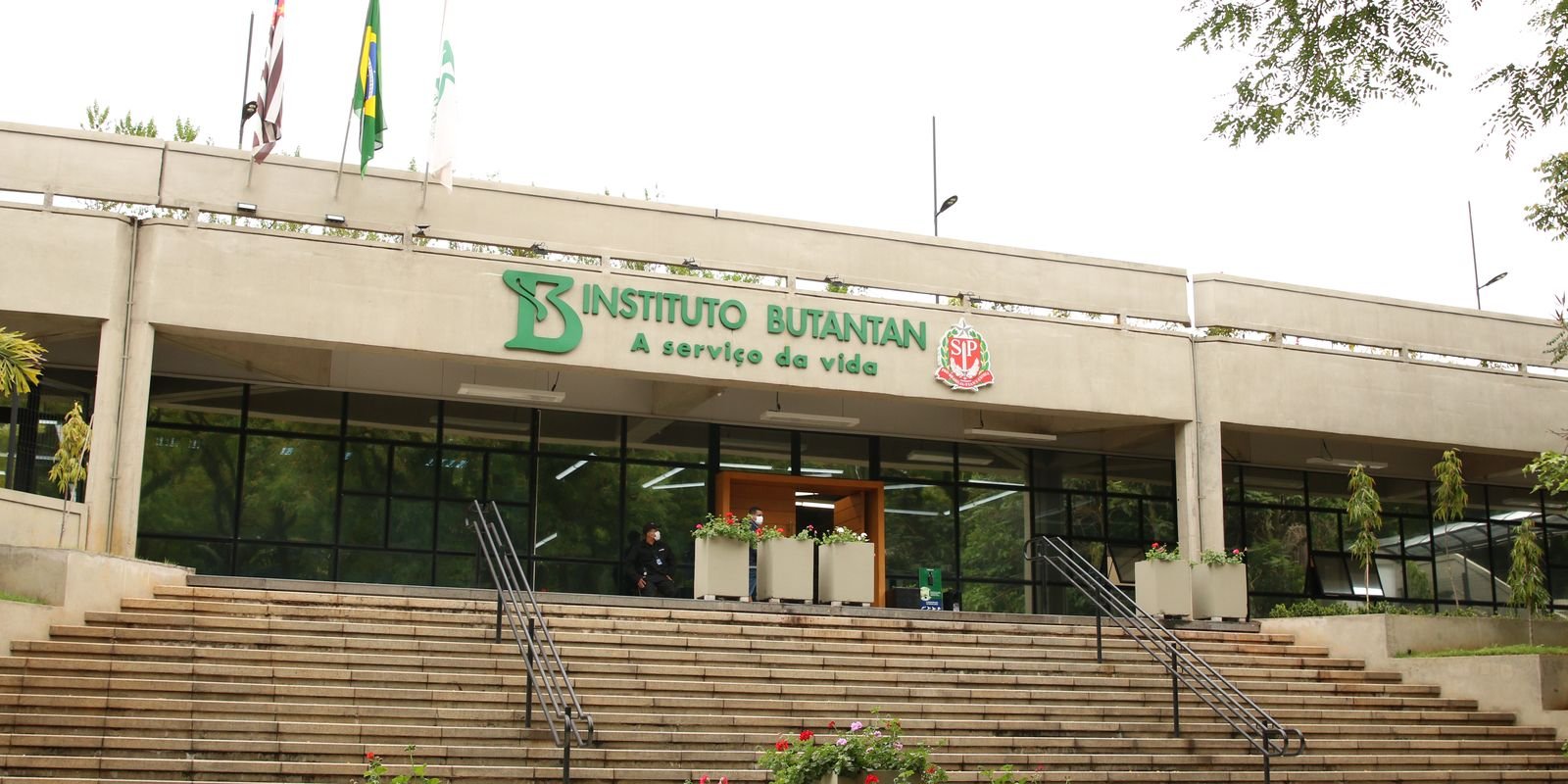 Butantan Produzirá Remédio Avançado Contra o Câncer para o SUS em Parceria Estratégica