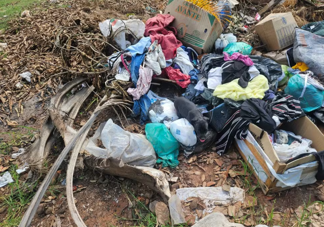 Filhote de cão encontrado abandonado no lixo é resgatado e ganha novo lar