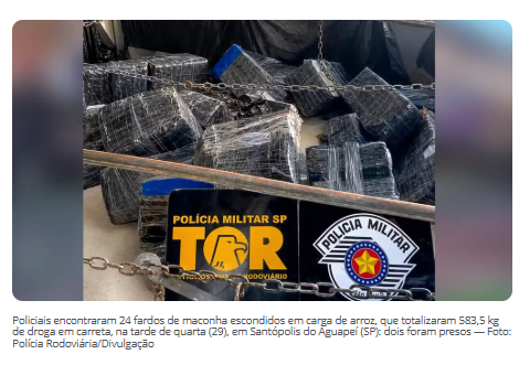 Polícia Rodoviária apreende mais de meia tonelada de maconha em carreta de arroz no interior de SP