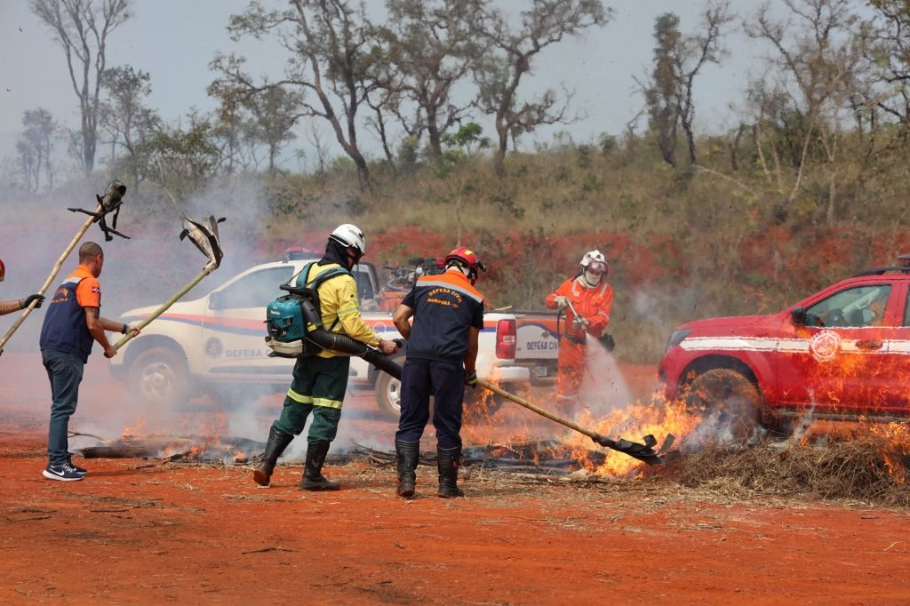 Defesa Civil começa treinamentos para temporada de incêndios em SP
