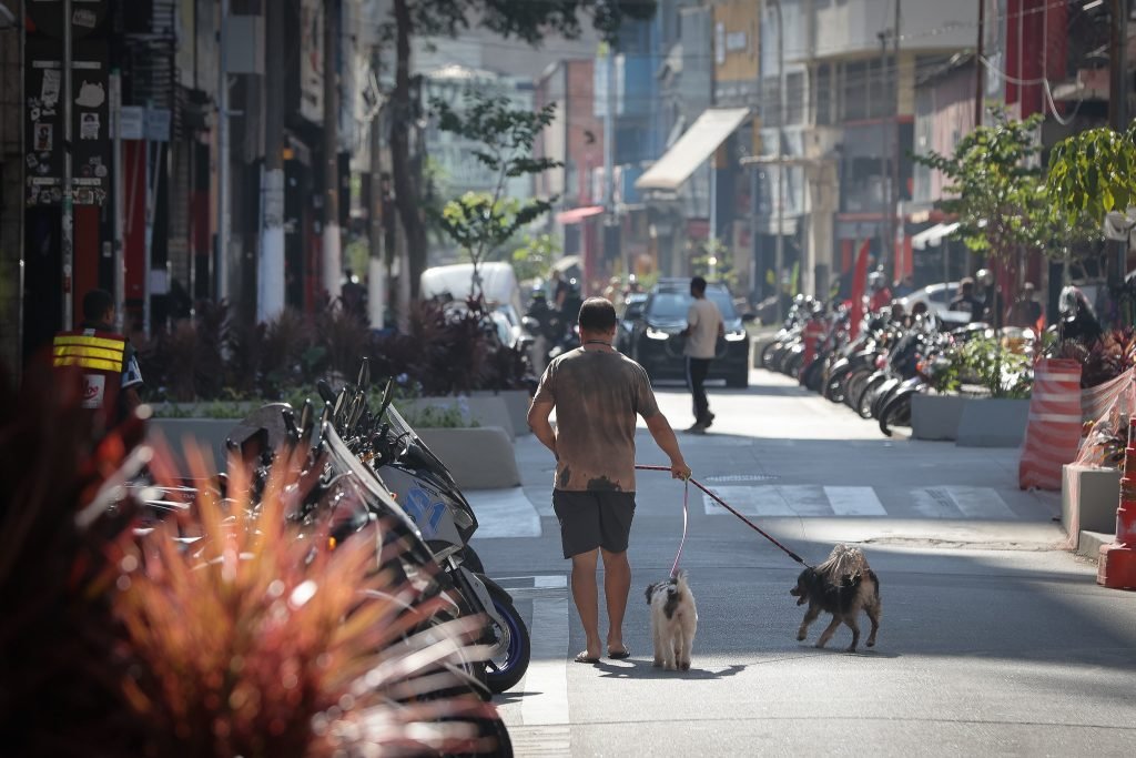 Tecnologia e inteligência: a estratégia de São Paulo para identificar frequentadores da antiga Cracolândia e combater o crime