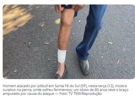 Idoso tem braço amputado e homem fica ferido após ataque de pitbull em Santa Fé do Sul