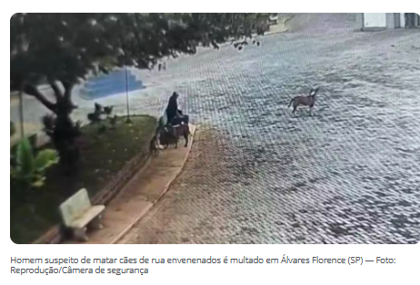 Homem suspeito de matar cães de rua envenenados é multado em R$ 21 mil Álvares Florence