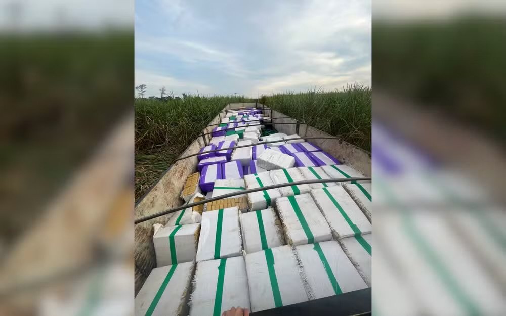 Polícia apreende 24 toneladas de maconha em carreta em Paulo de Faria