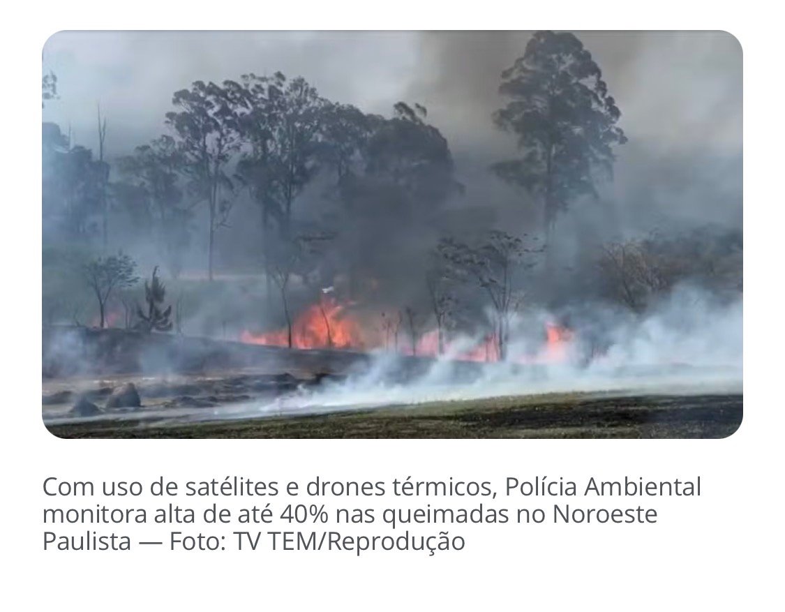 Polícia Ambiental registra alta de até 40% nas queimadas na região de Rio Preto
