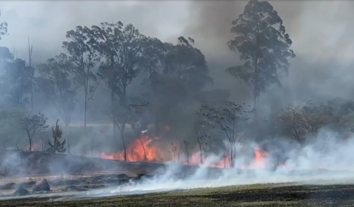 Polícia Ambiental intensifica monitoramento no Noroeste Paulista com drones e satélites frente a alta de até 40% nas queimadas