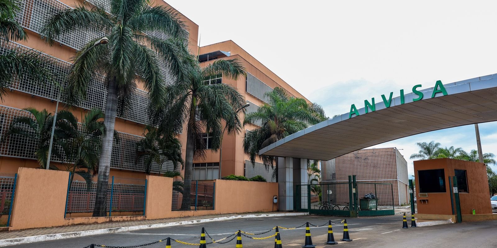 Anvisa intensifica fiscalização: suplemento irregular proibido e lotes de creatina suspensos em defesa do consumidor