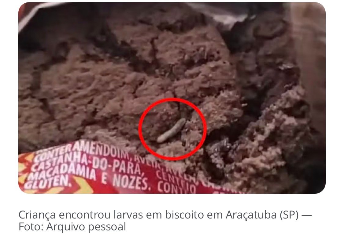 Fabricante de biscoitos é condenada a pagar R$ 15 mil após criança encontrar larvas ao ingerir cookies