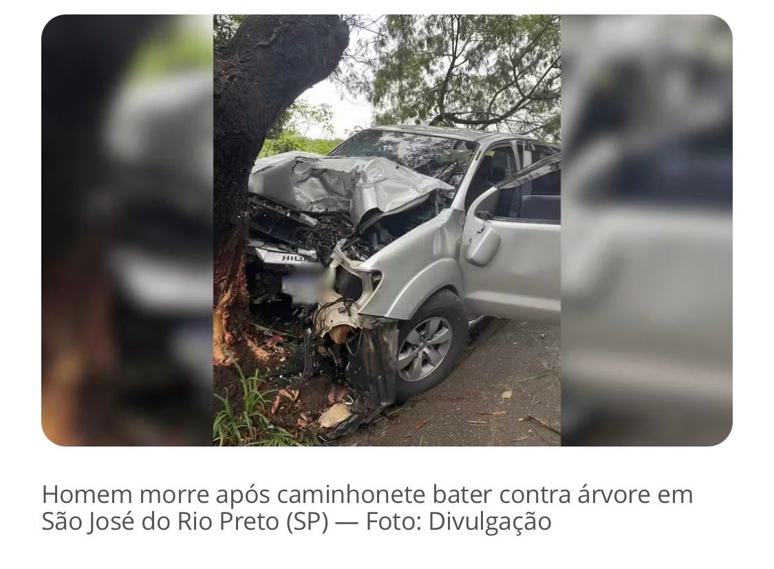 Motorista morre após caminhonete bater contra árvore em Rio Preto