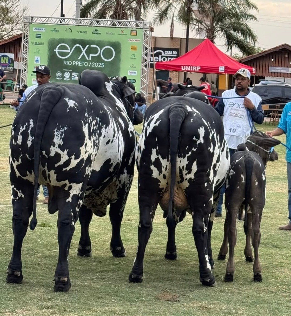 63ª Expo Rio Preto é lançada nesta terça em Rio Preto