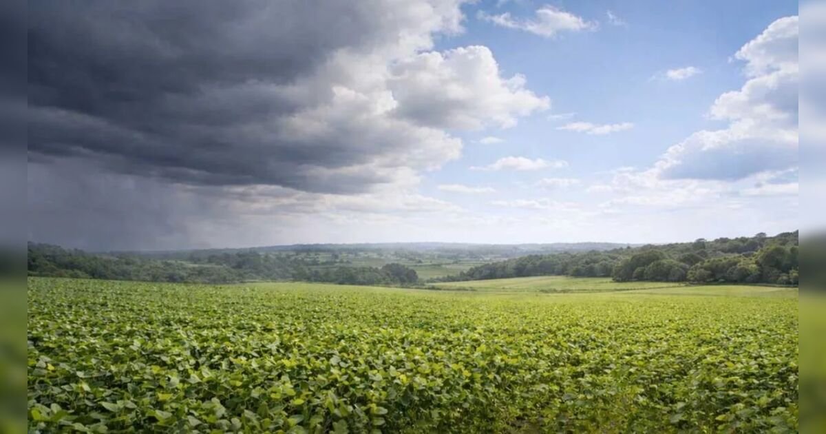 Previsão do Tempo em Ivaiporã: Terça-feira (30) terá elevação de temperatura e mudança no clima à tarde