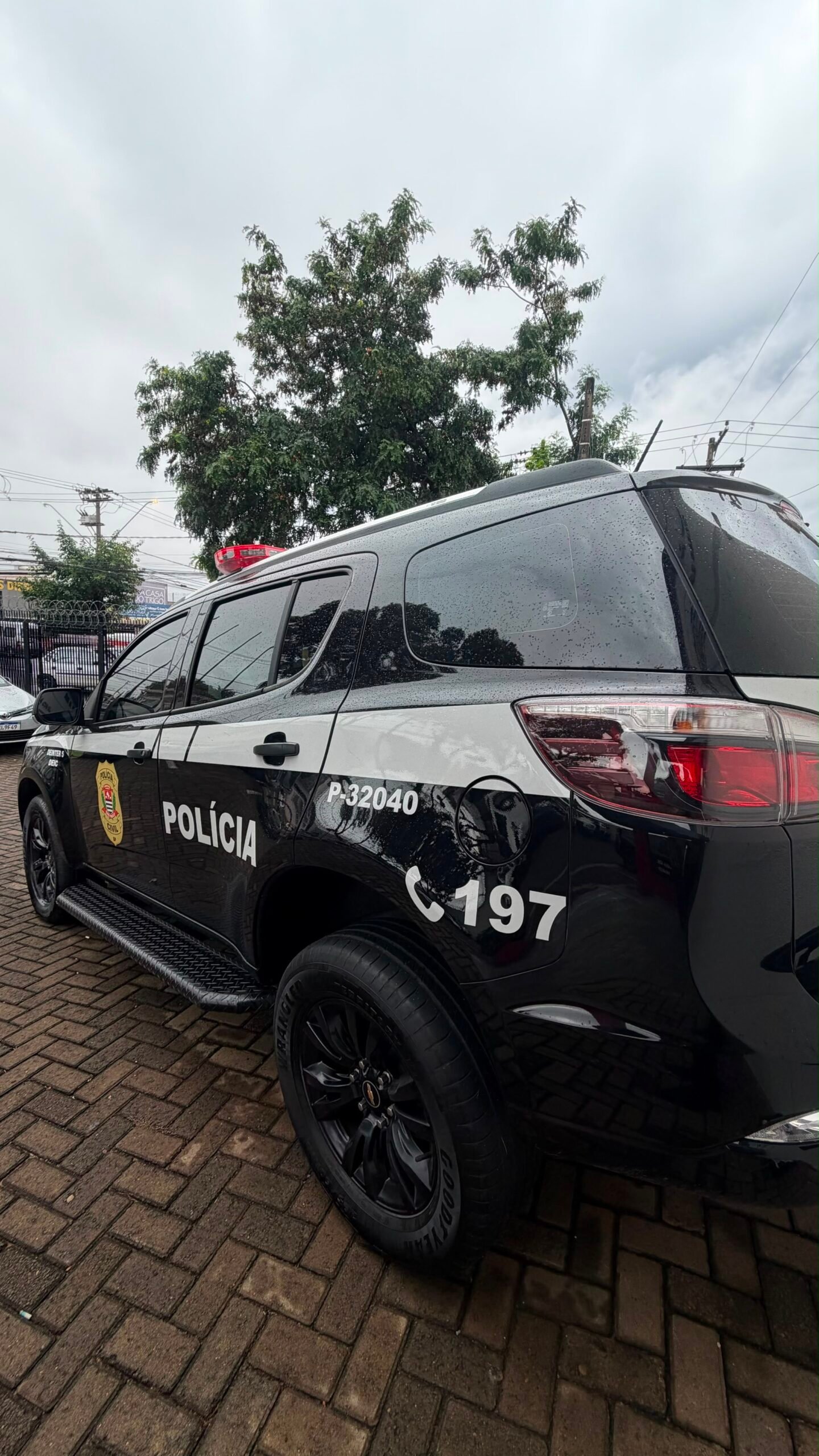 Homem é condenado por tráfico de drogas e maus-tratos a animais em Rio Preto