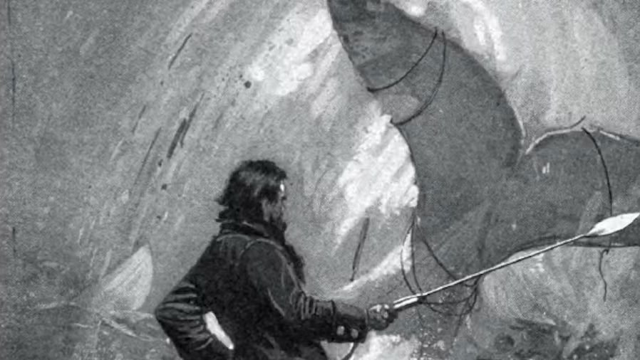 A Brancura do Cachalote e o Terror do Sagrado: A Profundidade Filosófica de Moby Dick