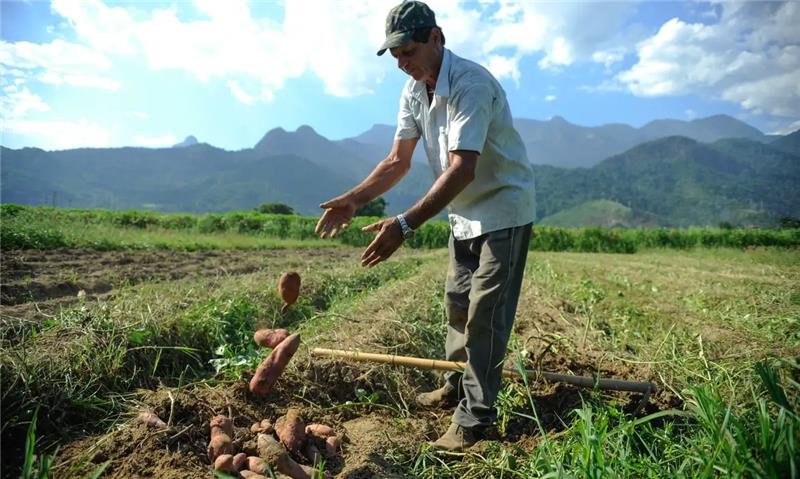 Super El Niño: os impactos no seu bolso e no agronegócio brasileiro