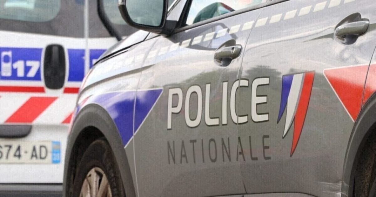 Policiais encontram cinco corpos de bebês dentro de caixas em casa