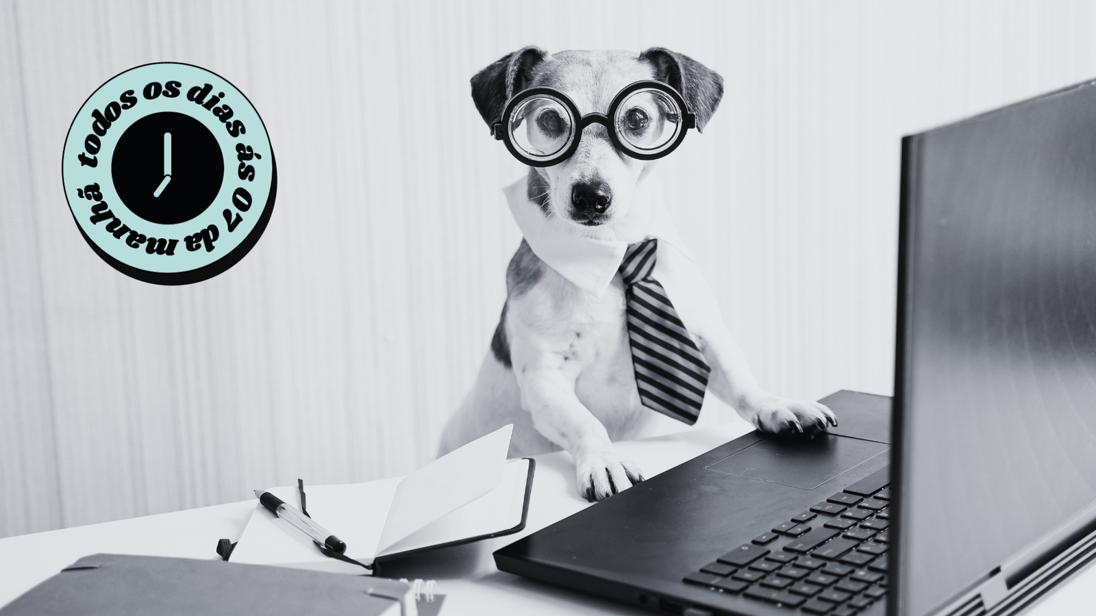 O home office se mantém firme e redefine o futuro do trabalho