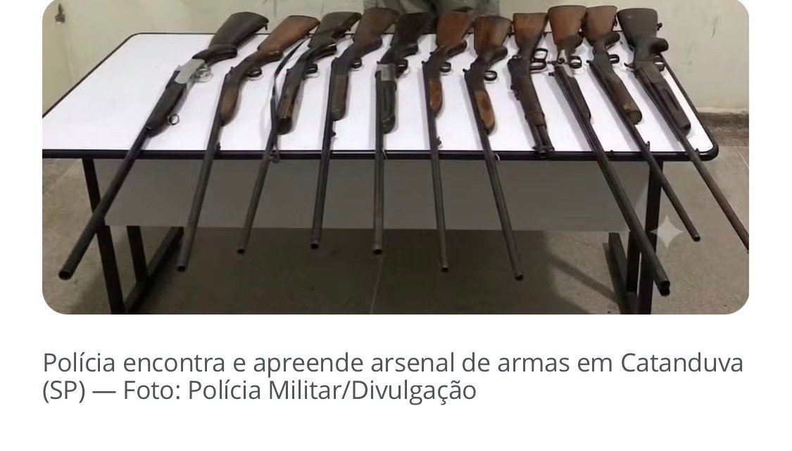 Denúncia de violência doméstica leva polícia de Catanduva a encontrar arsenal de espingardas e carabinas