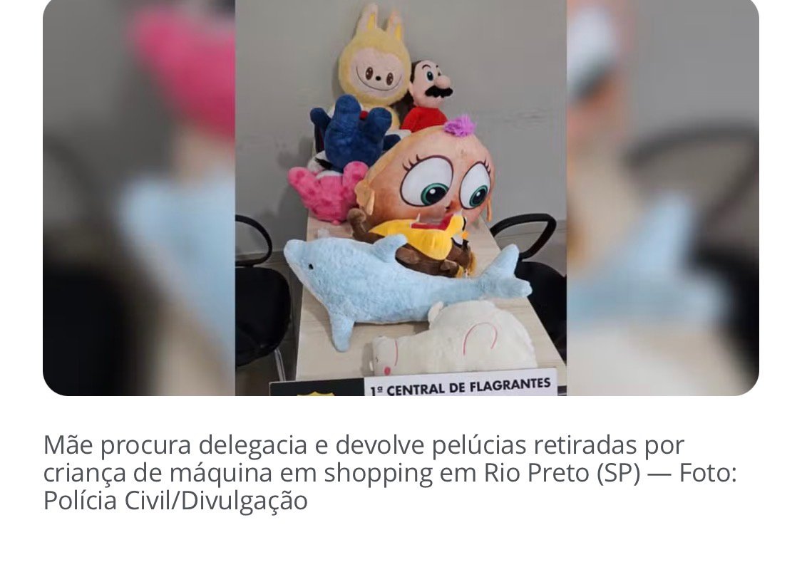 Mãe entrega à polícia pelúcias retiradas por criança flagrada entrando em máquina em shopping de Rio Preto