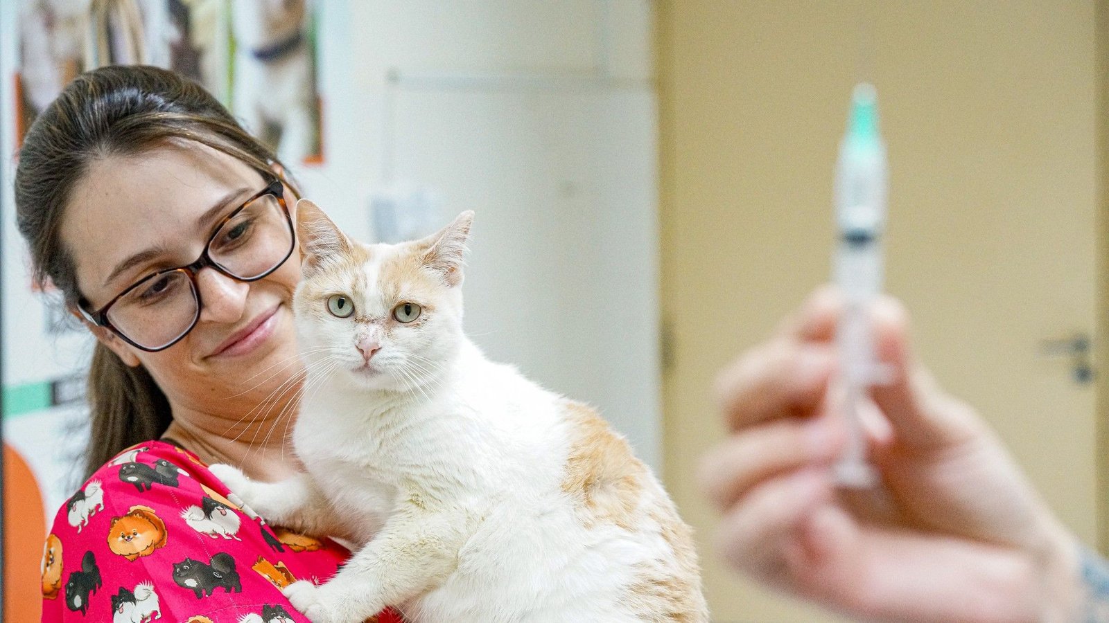 Zoonoses promove ações gratuitas para os pets neste sábado