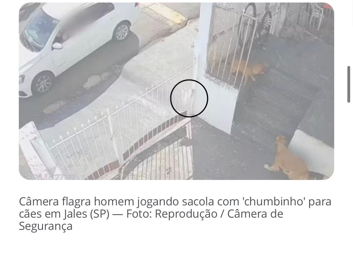 Idoso é condenado por envenenar cães com ‘chumbinho’ em Jales