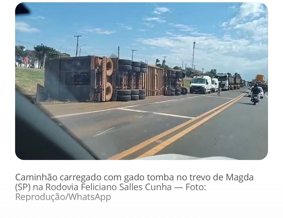 Caminhão carregado com 60 cabeças de gado tomba em rodovia no trevo de Magda