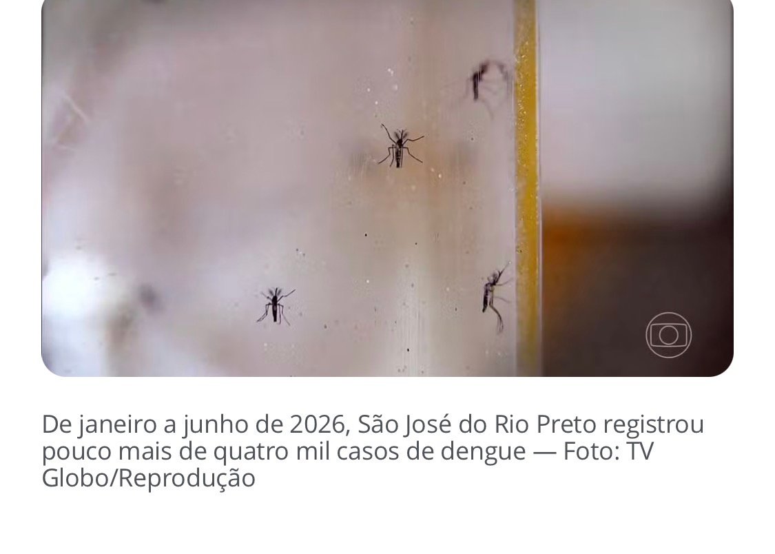 ‘Wolbitos’: Rio Preto aposta na soltura de mosquitos com bactéria que combate a dengue