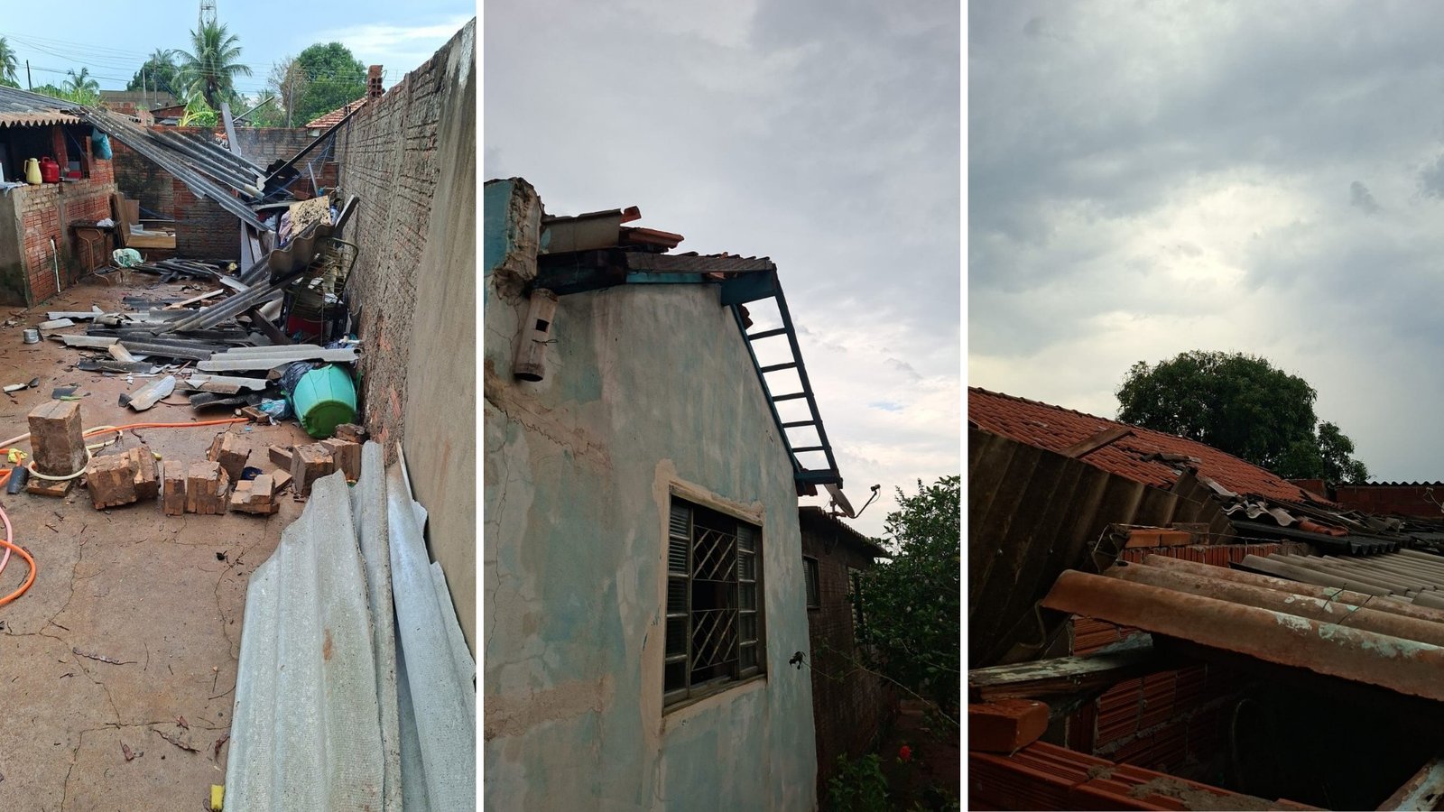 Chuva com vento destelha casas e derruba árvores em Palmeira d’Oeste