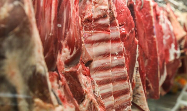 Carne bovina do Brasil pode levar dois anos para retornar ao mercado europeu