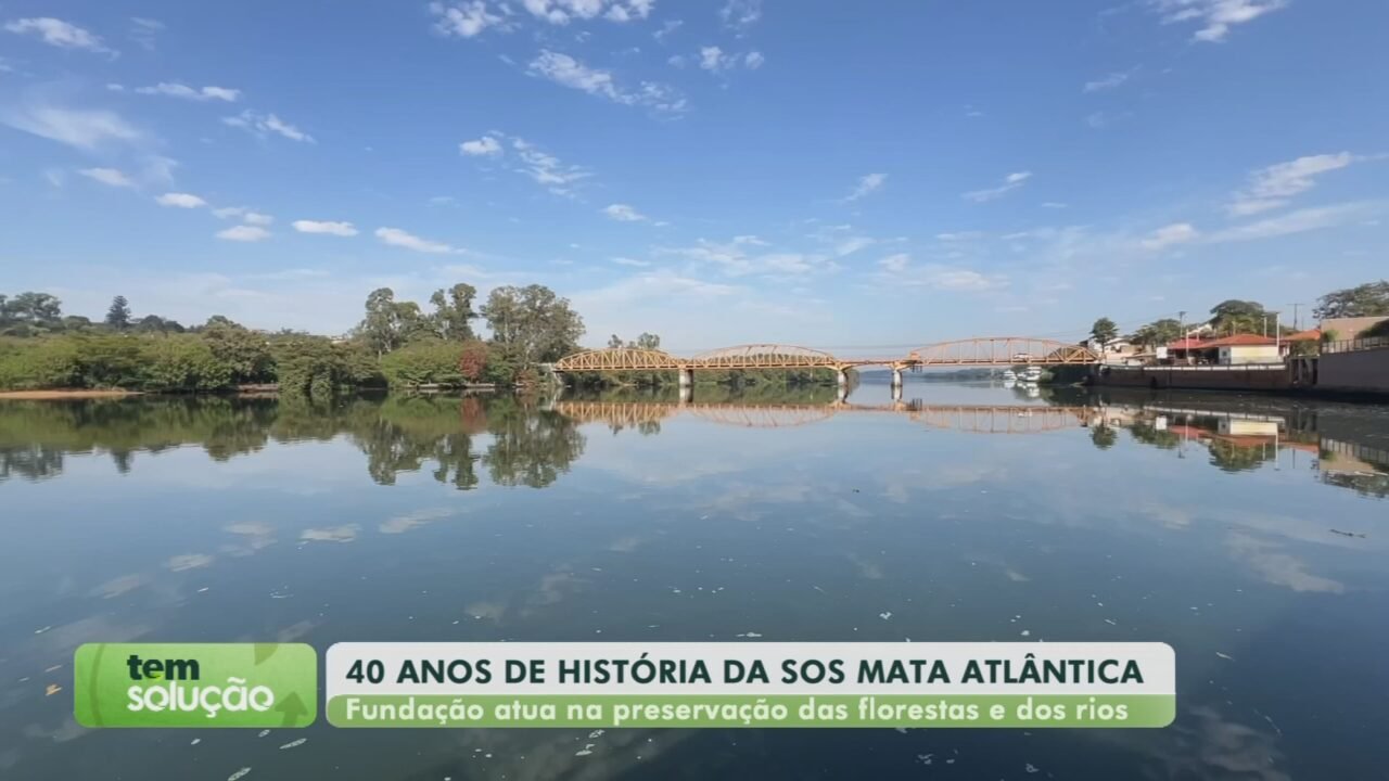 SOS Mata Atlântica celebra 40 anos com iniciativas de recuperação ambiental em SP