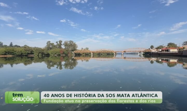 SOS Mata Atlântica celebra 40 anos com iniciativas de recuperação ambiental em SP