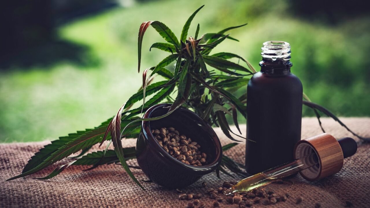Para associações, normas ainda deixam pontos em aberto sobre cannabis