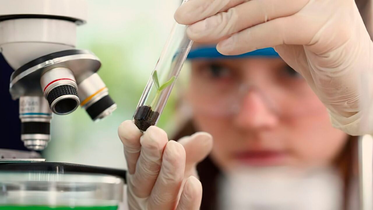 Imersão científica abre portas para alunas e professoras em centros tecnológicos