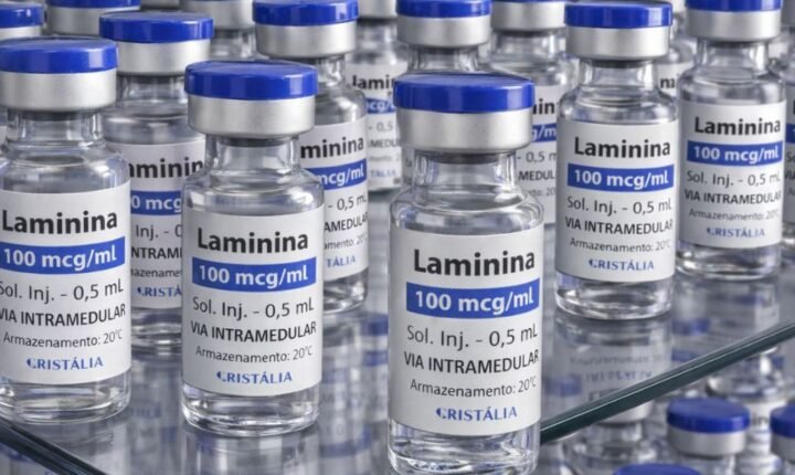 Testes clínicos fase 1 da polilaminina começam este mês
