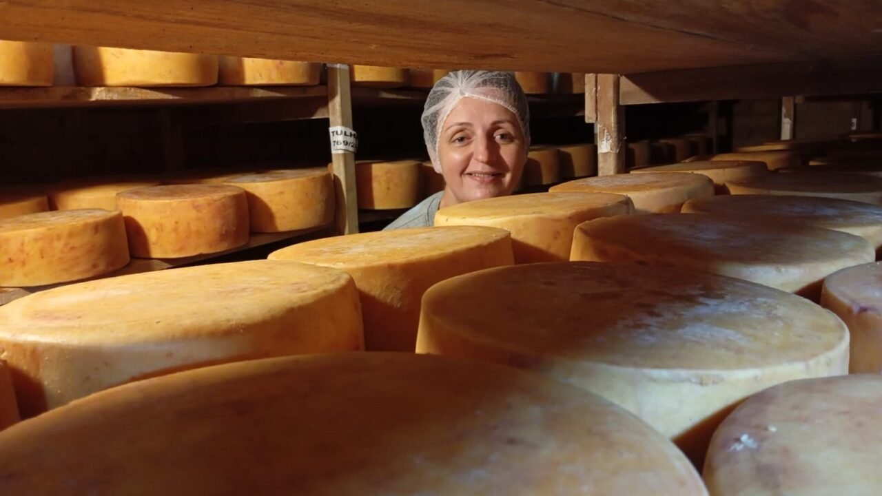 Produtora rural transforma dificuldades em sucesso com queijaria premiada