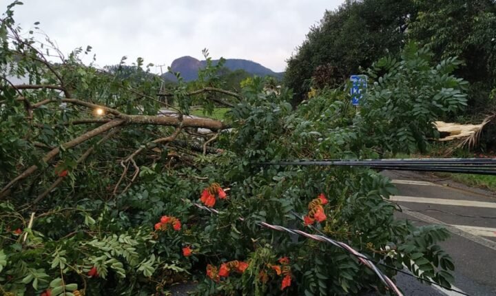 Alerta de tempestade: frente fria amplia instabilidade na Região Sul