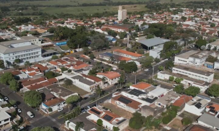 Tem solução: arborização ajuda a reduzir calor extremo e ganha espaço como estratégia de adaptação climática