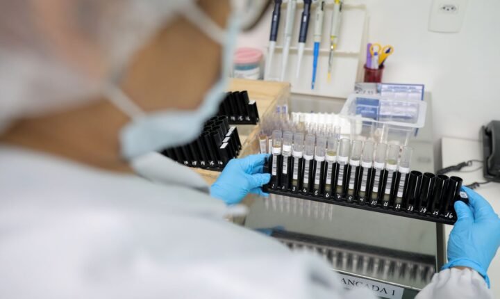 Malária: Anvisa autoriza teste em humanos de vacina 100% brasileira