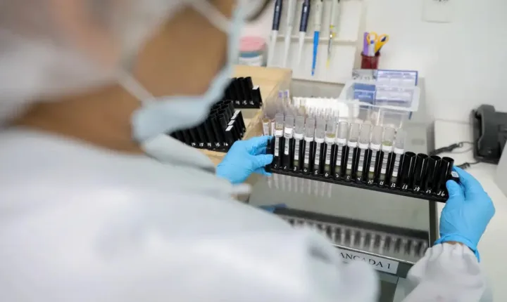 Anvisa autoriza teste em humanos de vacina brasileira contra a malária